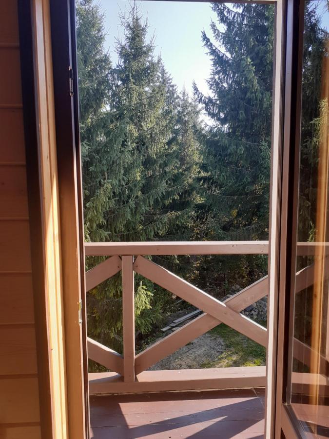 Apartament Біла Хата Iltsi Zewnętrze zdjęcie